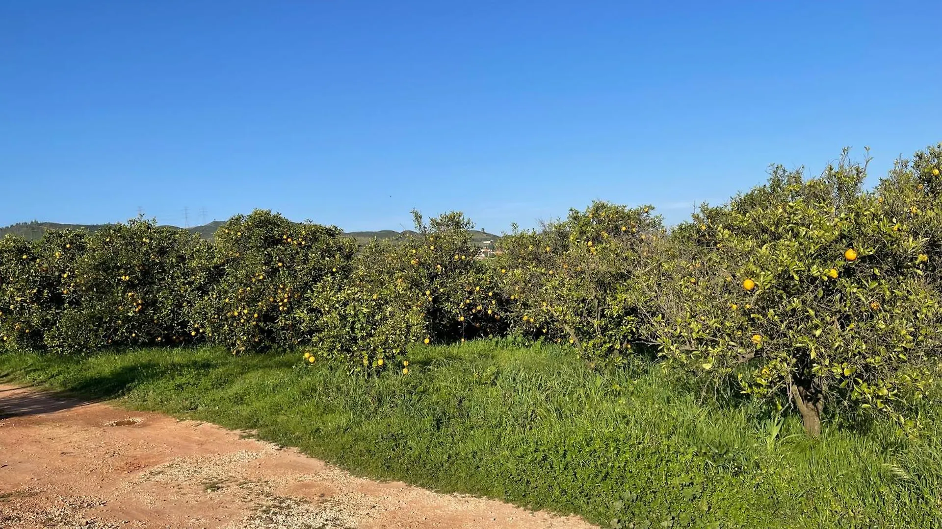 Orange Grove Residence Silves 0*,  Portugal