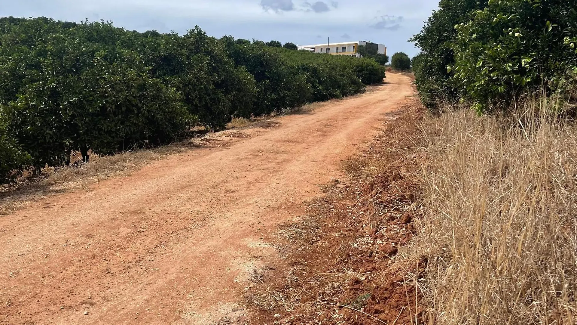 Orange Grove Residence Silves